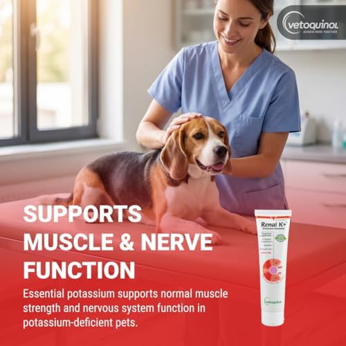 Vetoquinol Renal K - Potassium Supplement for Dogs & Cats - Supports Managing Potassium Levels - Palatable Gel with Maple Flavor - 5oz