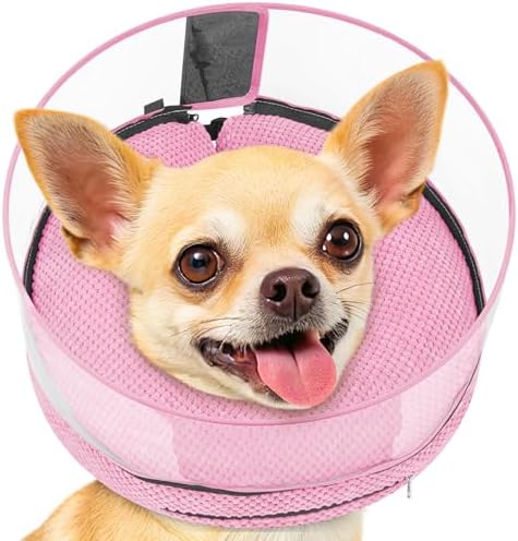 Inflatable Dog Cone with Clear Shield for Added Coverage