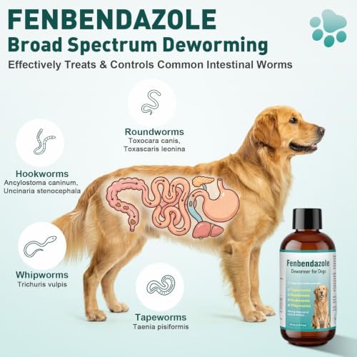 Dewormer for Dog, Fenbendazole Dog Dewormer Liquid, Broad Spectrum for All wormer, Tapeworms, Roundworms, Hookworms, Whipworms, 100ml