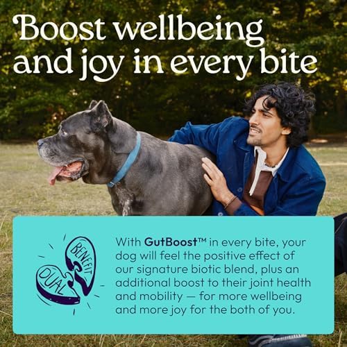 WellJoy Joint Dog Supplement + Glucosamine, Chondroitin, GutBoost, 90ct