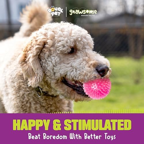 Gnawsome™ 3.5” Spiky Squeak & Light Ball Dog Toy - Medium, Cleans Teeth and Promotes Good Dental and Gum Health for Your Pet, Colors will vary, 3.5"