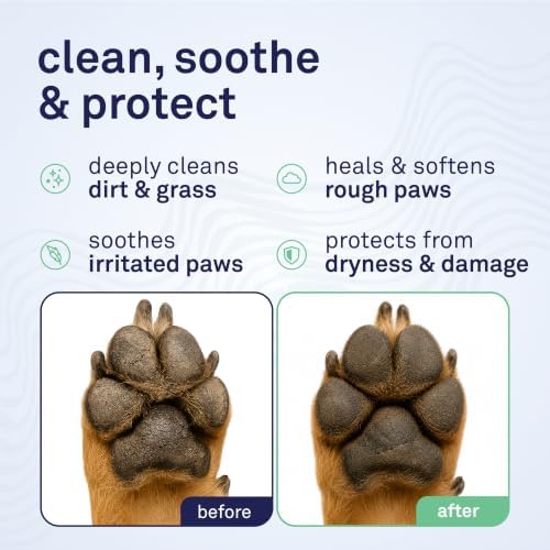 Petpost Large Paw Wipes for Dogs | 70 Count Dog Paw Cleaner Wipes with Aloe Vera, Witch Hazel & Cocoa Butter | Gentle Pet Wipes for Paws | Ultra Soft Cotton Pads