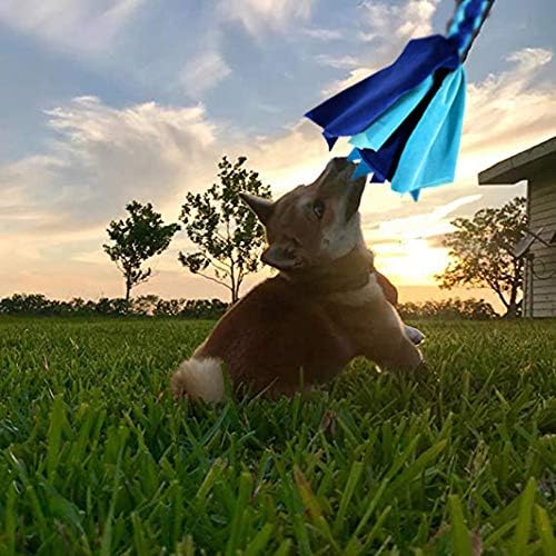 Flirt Pole for Dogs - Extendable Flirt Pole with 2pcs Fleece Lure Tugs for Dog Outdoor Entertainment, Train and Exercise, New Coffee