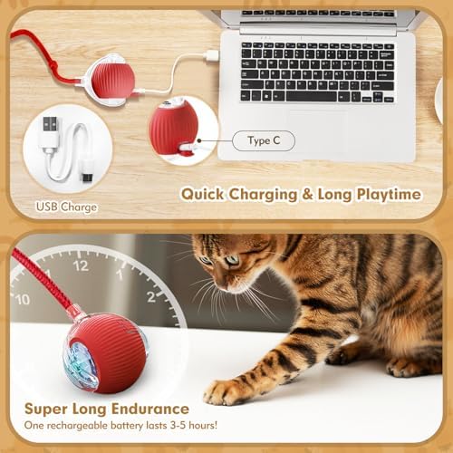 Interactive Cat Ball Toys for Indoor Cats, Upgraded Automatic Cat Toys