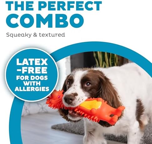 Outward Hound Latex-Free Big Squeak Hedgehog Dog Toy