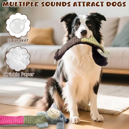 No Stuffing 2 Pack Dog Squeaky Toys, Chew with Crinkle to Large Puppy