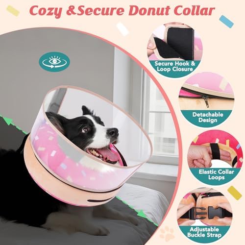 Inflatable Dog Cone with Anti-Licking Clear Shield, Fits Large Dogs