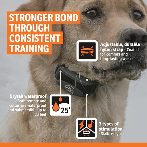 SportDOG FieldTrainer 425X Remote Trainer, 500-Yard Range, Waterproof