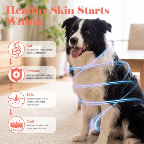 Dog Allergy Chews for Dogs - Skin & Coat, Digestive Health & Immune Support, Salmon Flavor, 2 Bottles, 240 Soft Chews