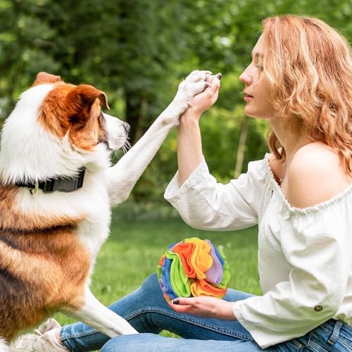 Andiker 5.9" Snuffle Ball for Dogs, Plush Colorful Interactive Snuffle Ball Hide Treat Dog Puzzle Toy for Relieving Boredom and Training Machine Washable Dog Balls for Small Dogs (Rainbow, S)