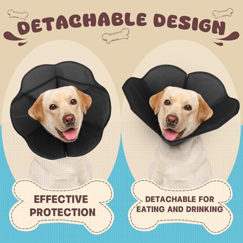 Dog Cone Collar Alternative, Partially Detachable Hard & Heavy Cone for Small Dogs (Yorkshire Pomeranian), Elizabethan Adjustable Protective Dog Neck Head Recovery Cone After Surgery Anti Licking