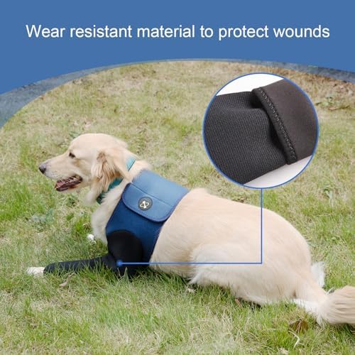 Coodeo Dog Recovery Suit, Cone Collar Alternative, Abrasion Resistant Dog Recovery Sleeve, Washable 2.5mm Thick and Waterproof, Pet Wounds Prevent Licking, Bite, Keep Dry（Blue，2XS
