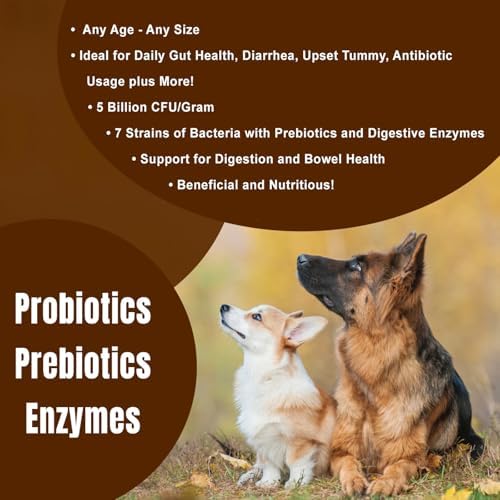 Dogzymes Probiotic Daily Balance - Supplies Nutritional Support and Live microorganisms for intestinal Well-Being as Well as enzymes for Proper Digestion. (8 Ounce)