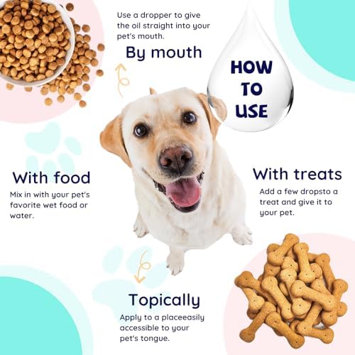CFILIHTC Joint Drops for Dogs with Glucosamine, Chondroitin, MSM & Omega-3 – Pets Liquid Joint Supplement for Dogs & Cats – Hip, Joint, Mobility, Skin & Coat Support – Chicken Flavor 2 Fl Oz