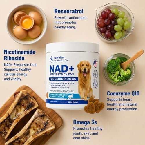 NAD+ Precursor Senior Dog Supplement – NMN Alternative Soft Chews for Longevity, Healthy Aging & Cellular Energy – Nicotinamide Riboside (NR), Resveratrol, Quercetin, Glucosamine & Omega-3
