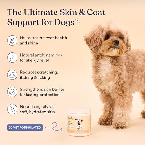 Pawfy Skin & Coat Salmon Oil Chews - Dog Itch Relief & Allergy Support