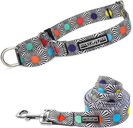 Lucky Love Dog Martingale Collar and Leash Set for Small Dogs – SOCO, Small