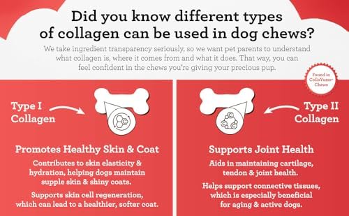 DreamBone CollaYUMS Twists Plus Collagen Rawhide-Free Dog Treats, 10 Count