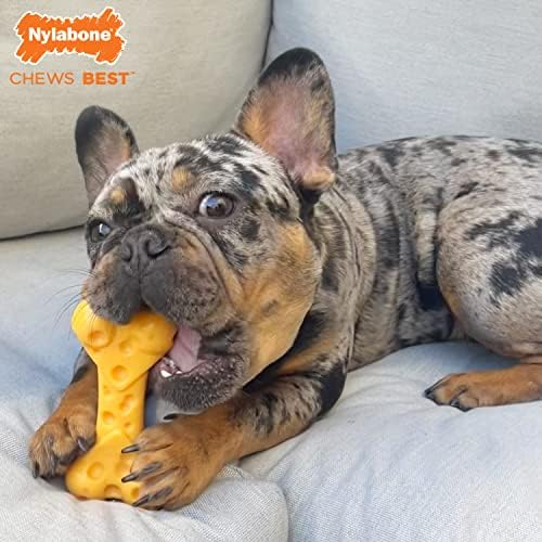 Nylabone Power Chew Cheese Bone Dog Chew Toy, Cheese Flavor, Medium