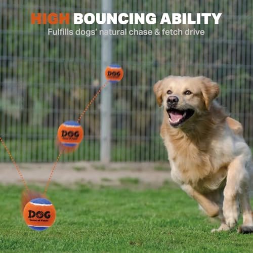 AMA SPORT Squeaky Tennis Balls for Dogs 2.5" Small Medium Dog Tennis Balls for Throwing and Fetching Dog Toys for Training, Exercise, High Bouncing 4 Pack (Orange Pink)