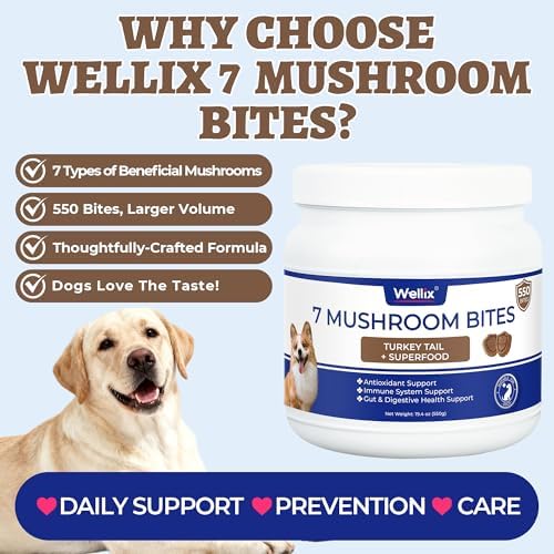 Wellix 550 Bites 7 Mushroom Chews with Turkey Tail for Dogs, Chicken