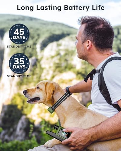 Dog Shock Collar for 2 Dogs- Dog Training Collar with Remote 4200FT, IPX8 Waterproof Electric Dog Collar with 4 Training Modes, Security Lock, Rechargeable eCollar for 10-120lbs Dogs