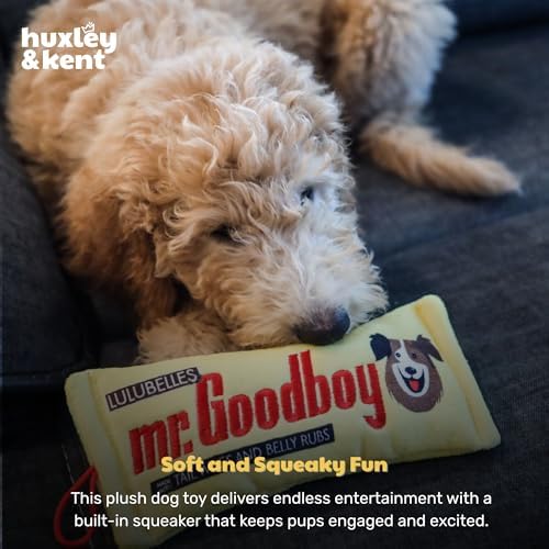 Huxley & Kent Power Plush Squeaky Dog Toy, Mr. Goodboy, Large