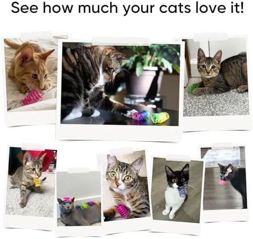 Cat Toys for Indoor Cats, 24 Pack Interactive Cat Spring Toys, 6Colors