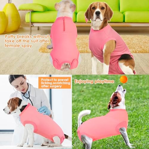 Recovery Suit for Female Dogs, Dog Cone Alternative After Spay