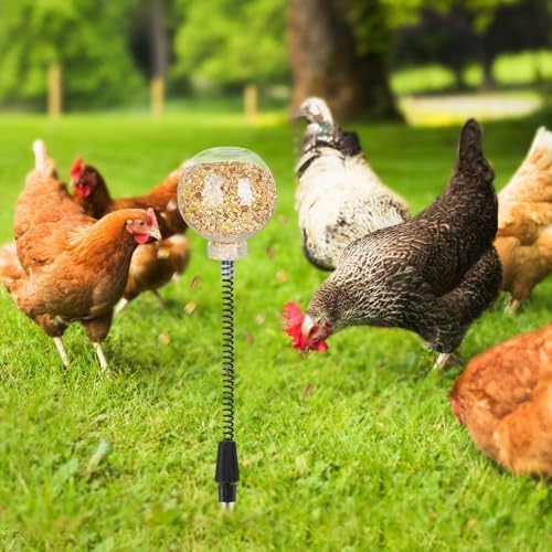 Kalekey 2 Pack Chicken Feeding Toy, Chicken Enrichment Toys with Spring and Ground Stake, Chicken Treat Dispenser Peck Toy for Hens Poultry Duck Birds Parrot Cat