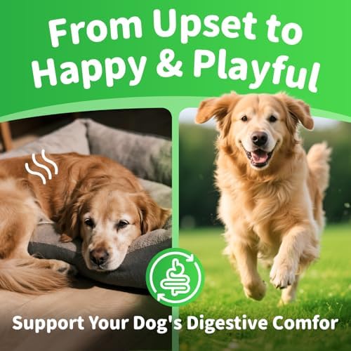 Dog Probiotics & Digestive – Pumpkin Fiber Chews for Gut Health