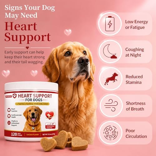 Taurine for Dogs, Heart Support Supplement, Antioxidant - Rich L-Taurine, L-Carnitine, EPA & DHA, CoQ10, Supports Cardiovascular Wellness, Circulation & Heart Function – 120 Chicken Flavour Soft Chews