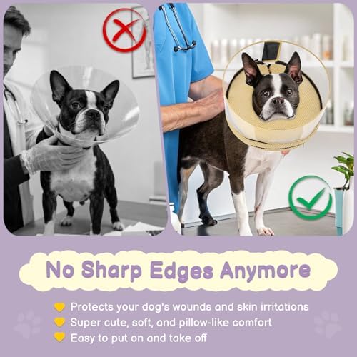 Inflatable Dog Cone with Clear Shield for Added Coverage