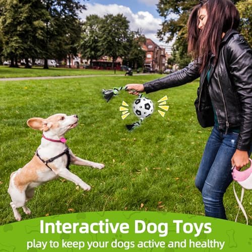 QDAN Dog Rope Toys for Small Medium Puppy, Soccer Ball for Dogs, Outdoor Dog Toys (Black)