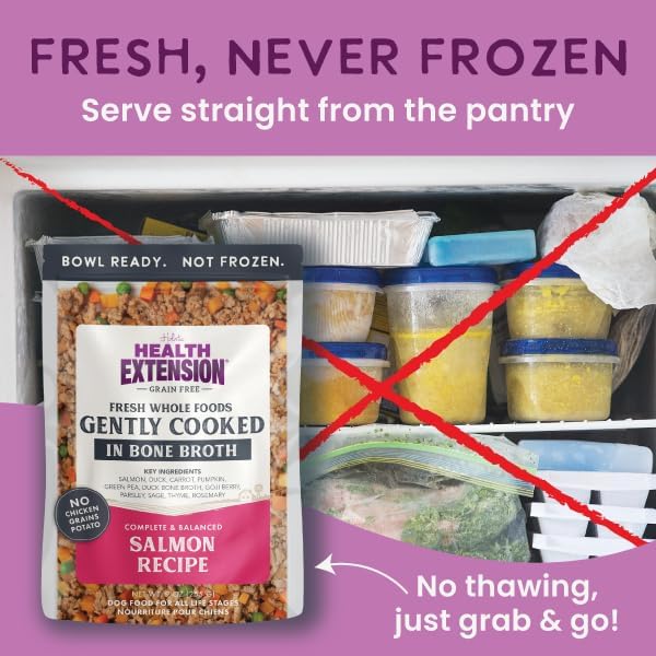 Health Extension Gently Cooked Grain-Free Salmon Dog Food, Human-Grade & Shelf-Stable with Superfoods, Supports Digestion, Immunity, Skin & Coat, 9 oz Pouch (Pack of 1)