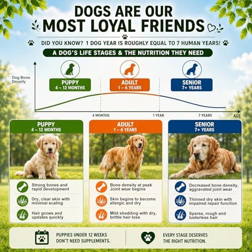 Collagen for Dogs,Dog Hip and Joint Supplement,9-in-1 Liquid Collagen Types I,II & III,Joint Pain Relief for Dogs,Recover Normal State,Repair Skin,Coat,Salmon Flavor Easily Accepted,No Allergens