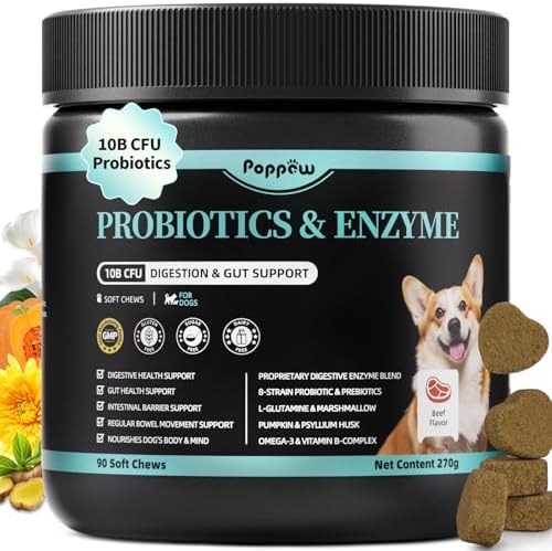 Probiotics for Dogs, 10B CFU with 5 Prebiotics & 5 Enzymes, Beef, 90 Count