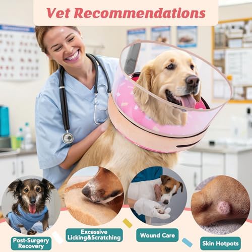 Inflatable Dog Cone with Anti-Licking Clear Shield,Fits Medium Dogs