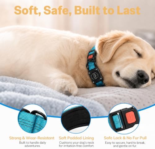 Dog Collar with AirTag Holder Waterproof QR Code Reflective Collar(Blue,L) | Built-in Waterproof Holder, QR Code Tag, Reflective,Secure Buckle