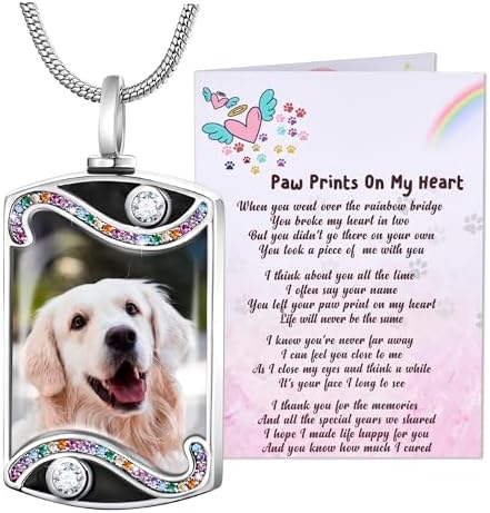 Fanery Sue Pet Ashes Necklace for Dog Cat, Custom Photo & Text