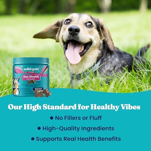 Solid Gold Dog Probiotics Chews for Digestive Health & Gut Support, 120ct
