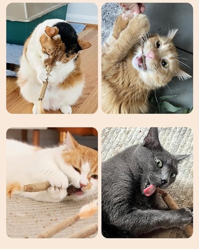 Tocirelo Natural Silvervine Chew Sticks for Cats with Catnip and Feathers