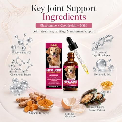 Dog Joint Supplement Liquid, Glucosamine Chondroitin MSM for Dogs, Hip & Joint Support Drops, Liquid Glucosamine for Dogs, Mobility & Cartilage Support, Chicken Flavor, 60 mL