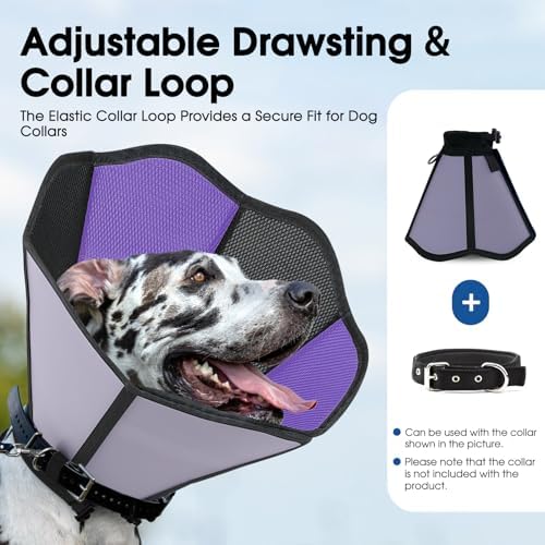 Cone for Dogs, Soft Dog Cone for Medium Large Dogs