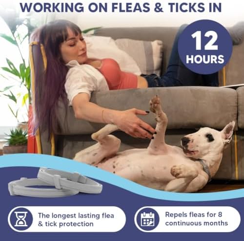 fcesiweg Flea Collars for Dogs Large, Tick Collar for Dogs, Flea Dog Collar, Adjustable for Medium & Big Breeds,Gentle and Safe for Daily Use, 8 Months Protection-2P