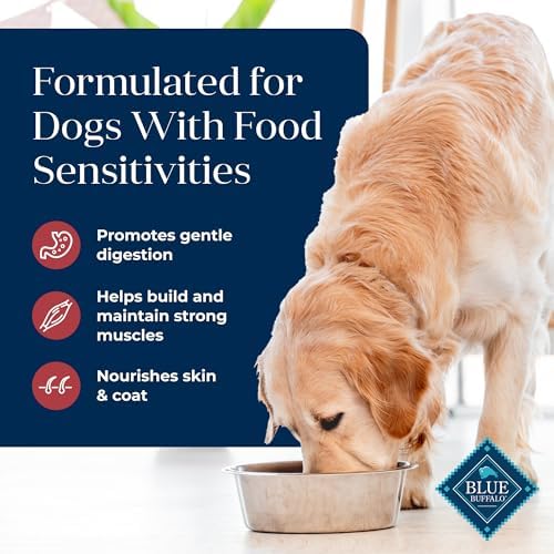 Blue Buffalo Basics Salmon Adult Skin & Stomach Care Dry Dog Food, 11 lb