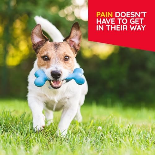 MediNatura T-Relief Pet Discomfort Relief Oral Drops, Arnica +12, 1.69 oz