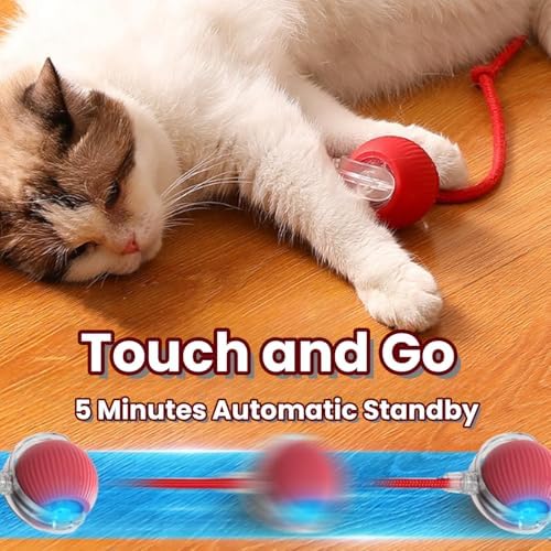 Interactive Rotating Cat Ball Toy, 360 Smart Rolling Ball Electric, Automatic Moving for Cats & Kittens (Red+Grey)