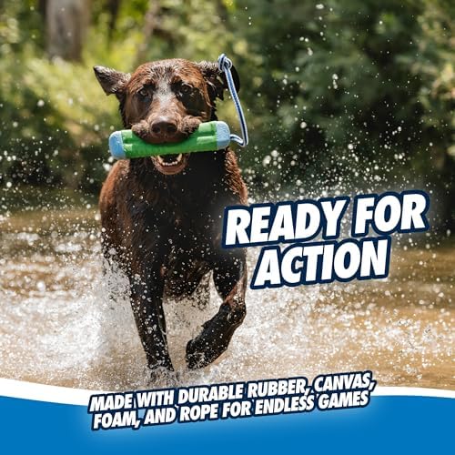 Chuckit! Amphibious Bumper Fetch Stick Toy for Dogs-Floats in Water-Interactive Dog Toys to Keep Them Busy-Tough Rubber,Nylon & Foam - Non-Slip Rope Handle - Assorted Colors, Medium (Pack of 12)