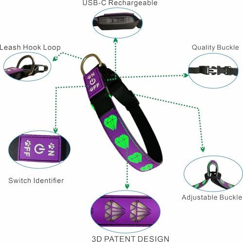 Personalized Dog Collar Waterproof airtag Dog tag Holder,USB C Light up Night Black Dog Collar (Black, M(11.8-15.7"))